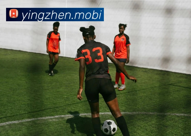 多媒体互动体验