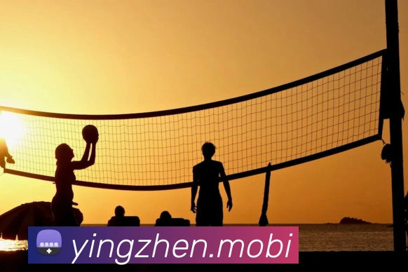 开云手机在线登录官网APP 高清赛事图